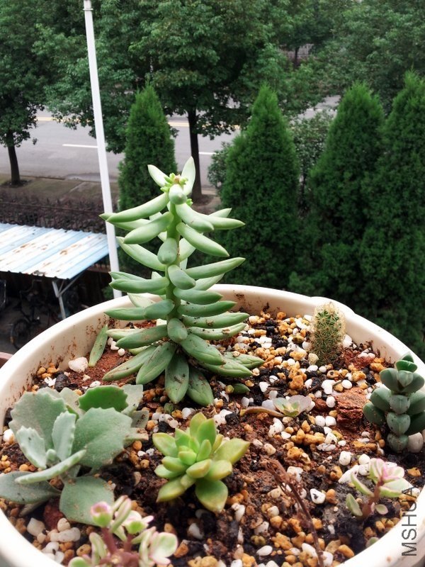 20120914_104141.jpg