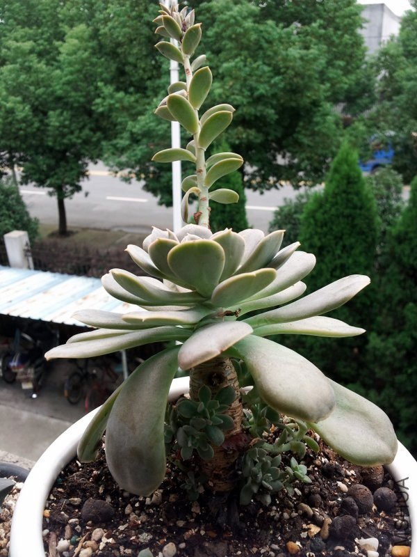 20120914_104105.jpg