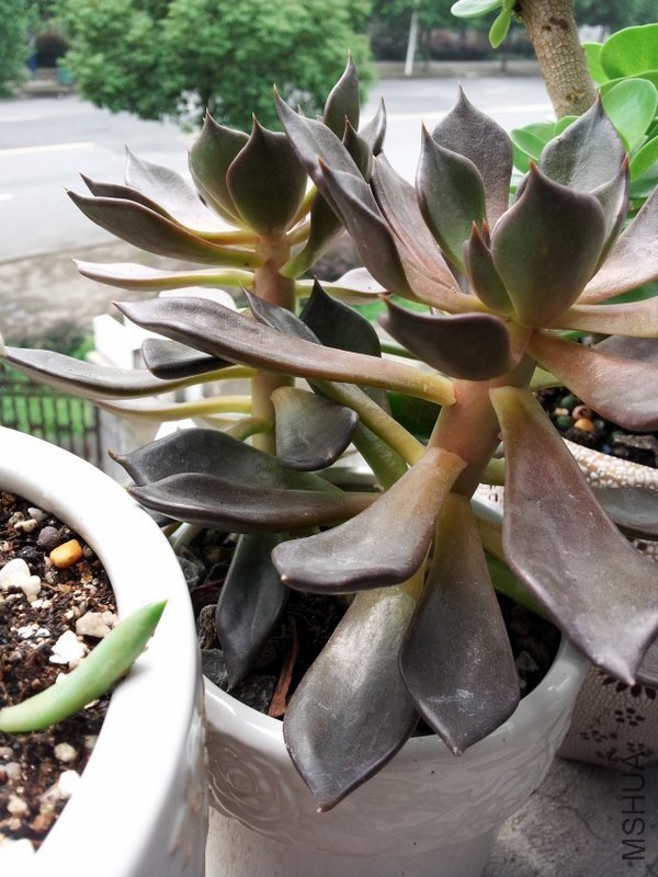 20120914_104119.jpg