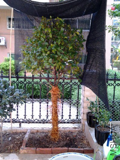 2012-09-15 12.25.47_meitu_1.jpg
