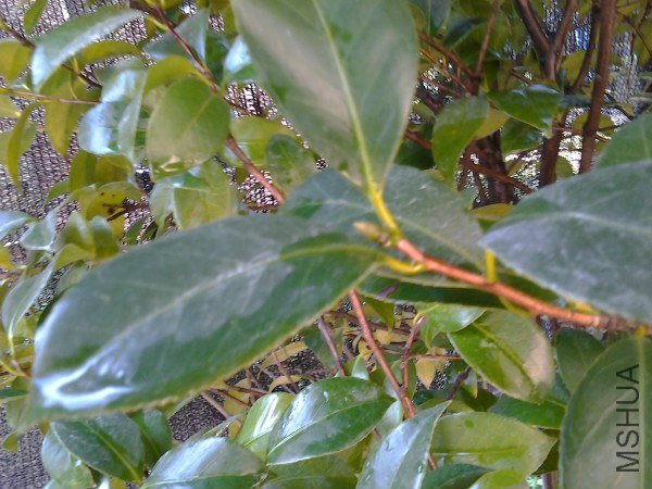 2012-09-15 12.26.43_meitu_3.jpg