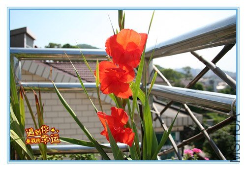 ��Ƭ 015_����.jpg