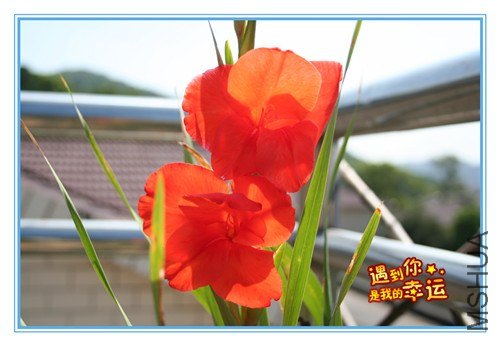 ��Ƭ 015_����1.jpg