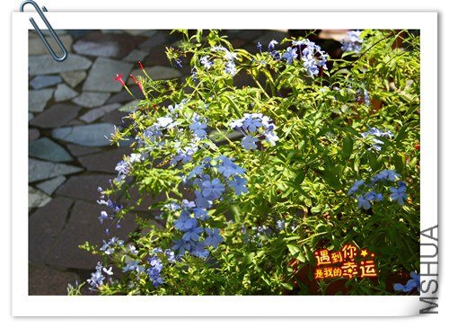 ��Ƭ 027����1.jpg