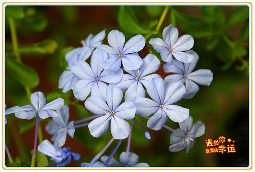 ��Ƭ 027_����2.jpg