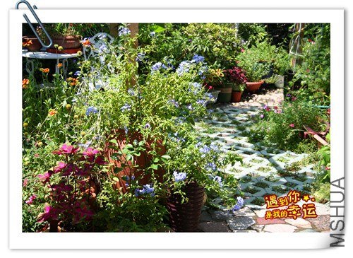 ��Ƭ 027_����.jpg