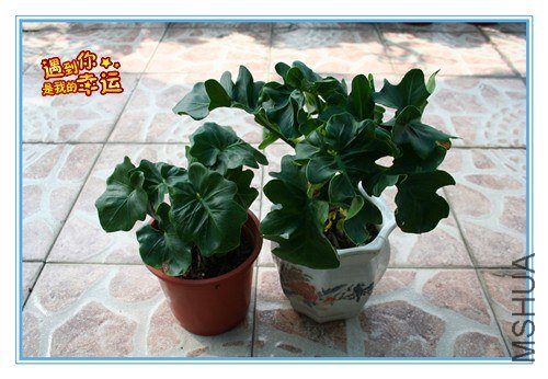 ��Ƭ 032_����.jpg