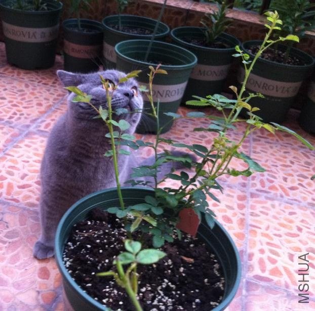 ԰��1.jpg
