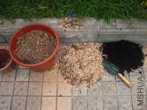 ԰������̿����ľм