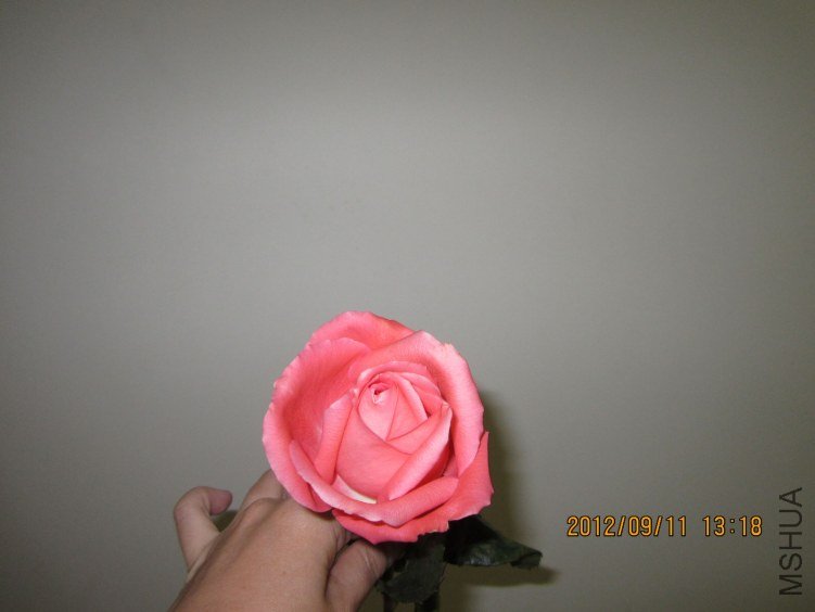 IMG_3719.jpg