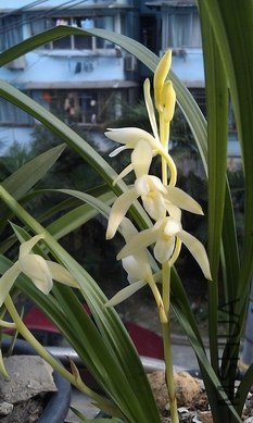IMAG0072.jpg