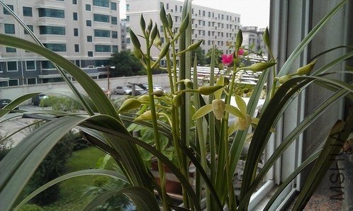 IMAG0082.jpg