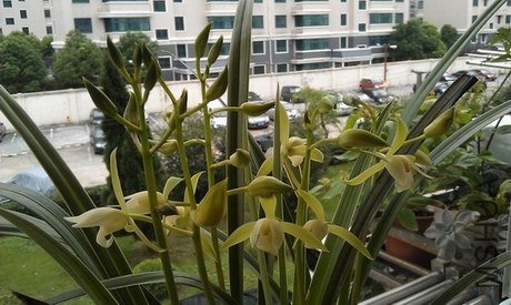 IMAG0092.jpg