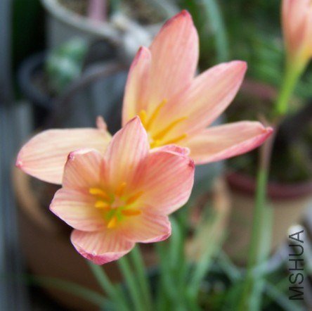 QQ��ͼ20120914191930.jpg