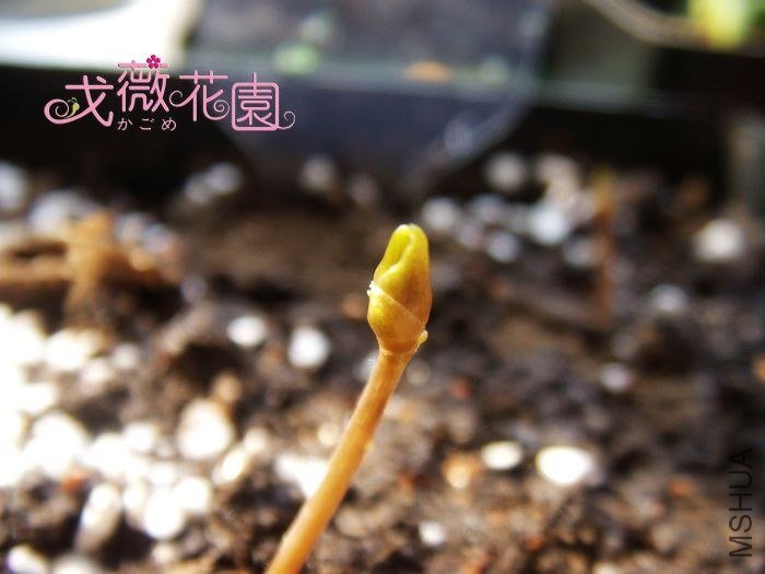 ���ϴε�����ָ������һ���ǣ�