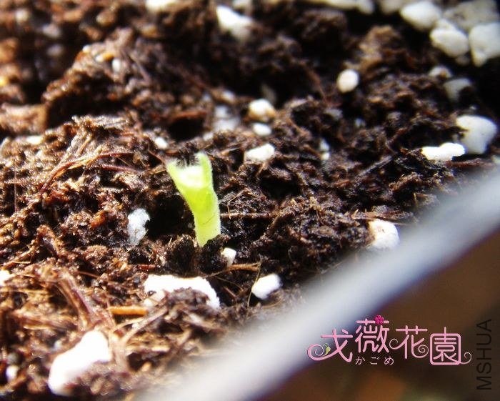 ë���׵�~���ǳ��Ĳ��죡