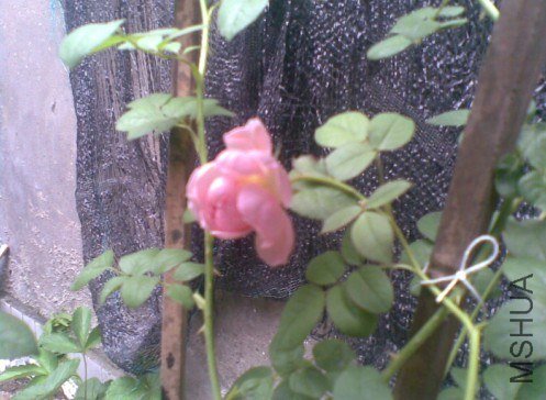 3E]3@8UVWXA1MBK1Z[E9%1L.jpg