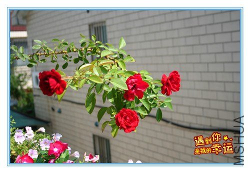 ��Ƭ 091_����.jpg