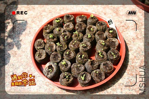 ��Ƭ 143_����.jpg