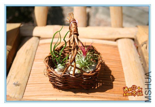 ��Ƭ 192_����.jpg