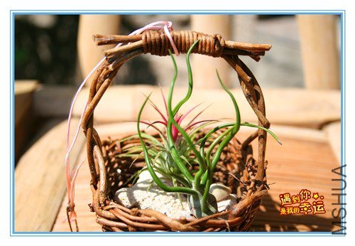 ��Ƭ 194_����.jpg