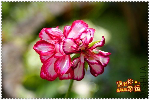 ��Ƭ 200_����.jpg