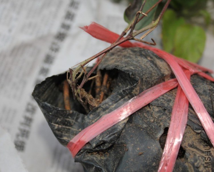 2012-09-16_202951.jpg