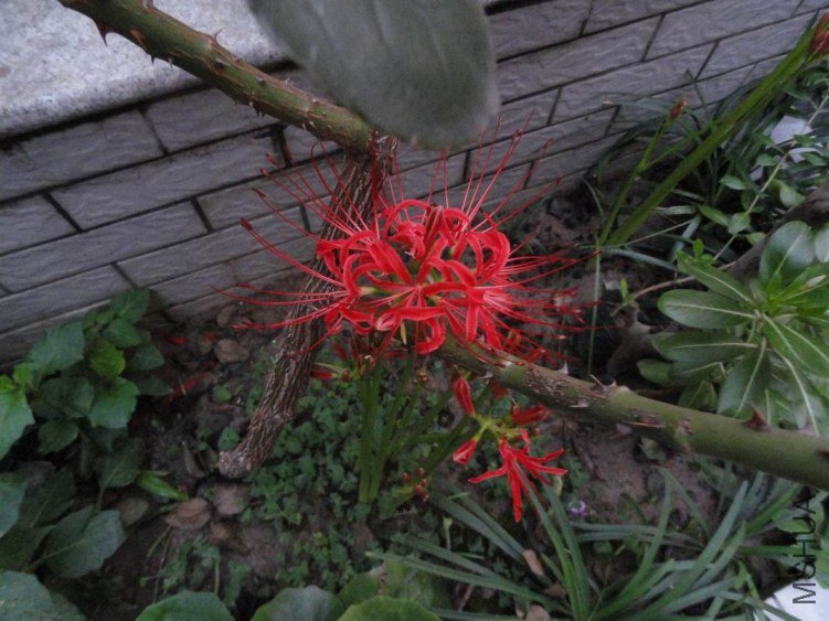 DSC02746.JPG