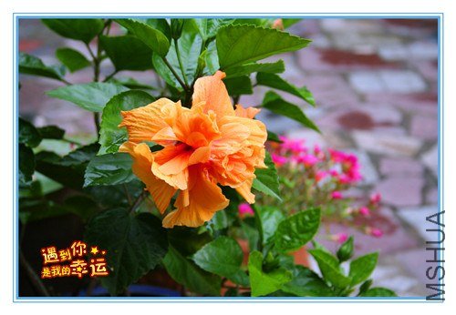 ��Ƭ 001_����2.jpg