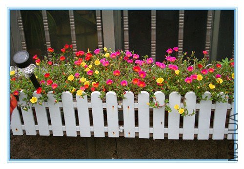 ��Ƭ 013_����.jpg