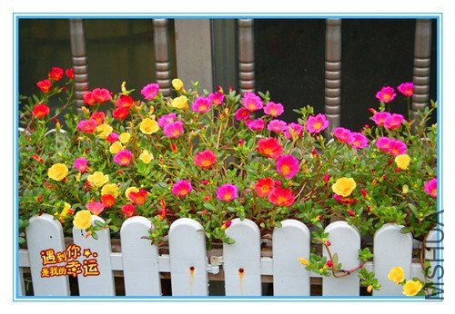 ��Ƭ 013����2.jpg