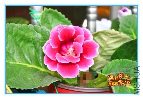 ��Ƭ 026_����.jpg