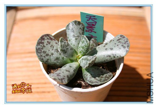 ��Ƭ 180_����.jpg