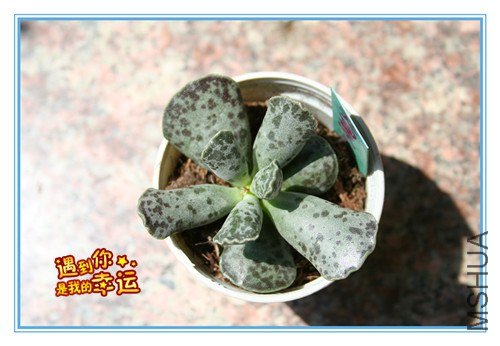 ��Ƭ 181_����.jpg