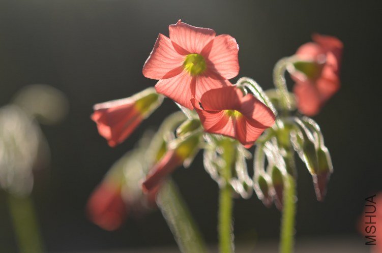 С�ձ�201200916 001.JPG