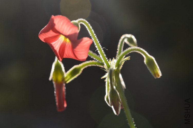 С�ձ�201200916 002.JPG