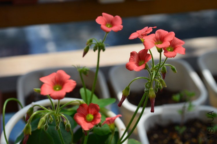 С�ձ�201200916 003.JPG