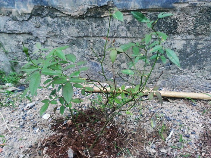 20120917_181923.jpg