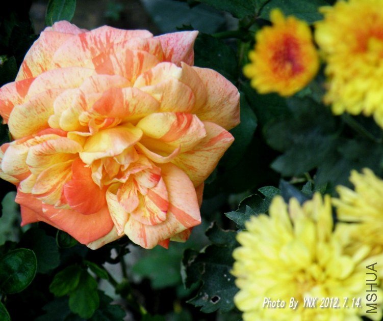 2012.7.14. 038_conew1.jpg