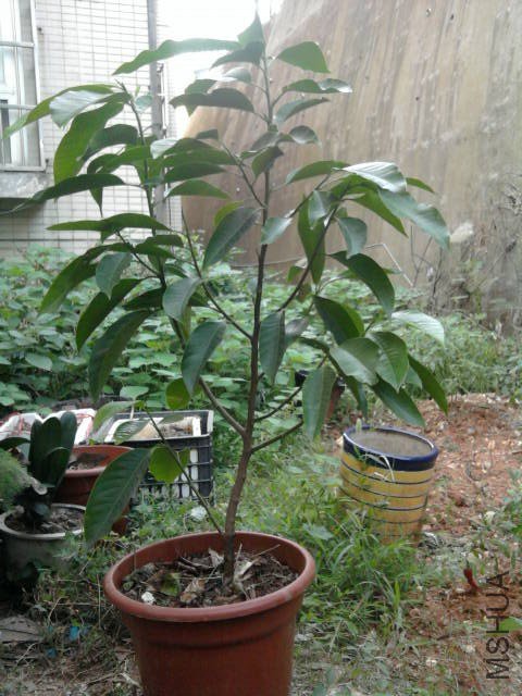 ��ת ��Ƭ0063_001.jpg