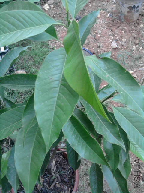 ��ת ��Ƭ0064_001.jpg