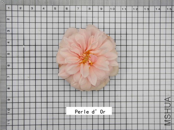 A253Perle d��Or.jpg