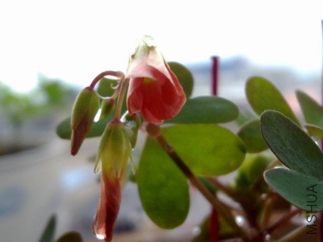 ������С 201209183653.jpg