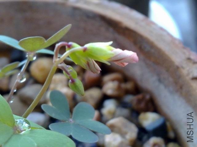 ������С 201209173628.jpg