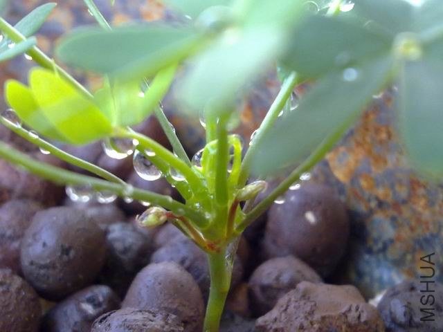 ������С 201209173631.jpg