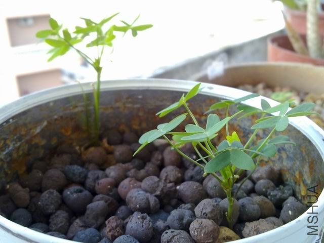 ������С 201209183645.jpg