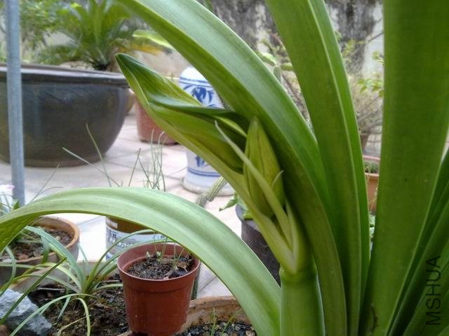 ������С 201209183648.jpg