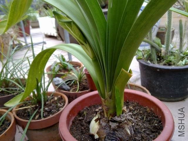 ������С 201209183647.jpg