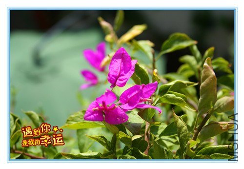 ��Ƭ 069_����.jpg