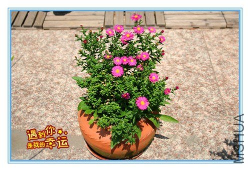 ��Ƭ 127_����.jpg